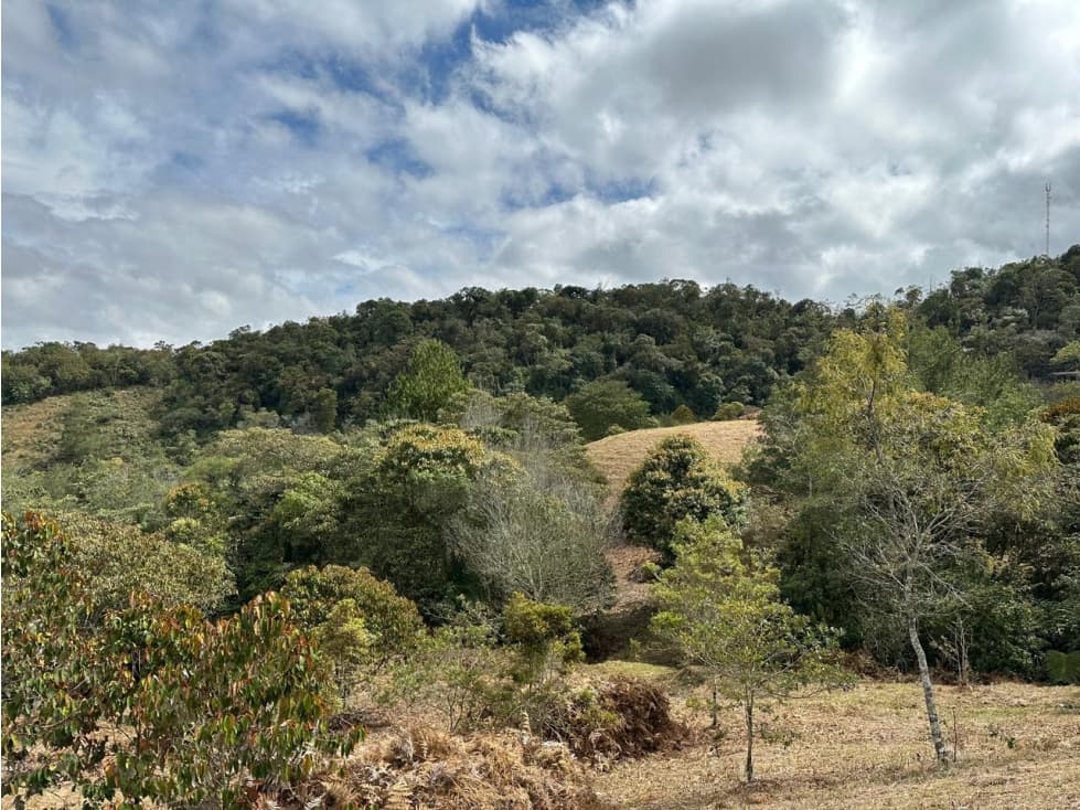 Se Vende Lote en el Capiro, Llanogrande — foto 4