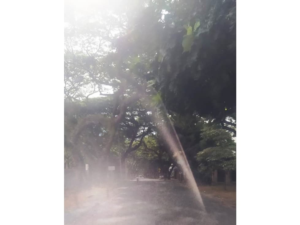 VENTA CASA LOTE SUR GUADALUPE CALI — foto 3