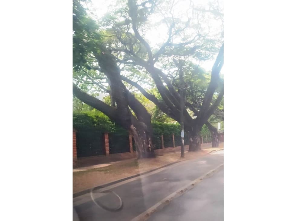 VENTA CASA LOTE SUR GUADALUPE CALI — foto 5