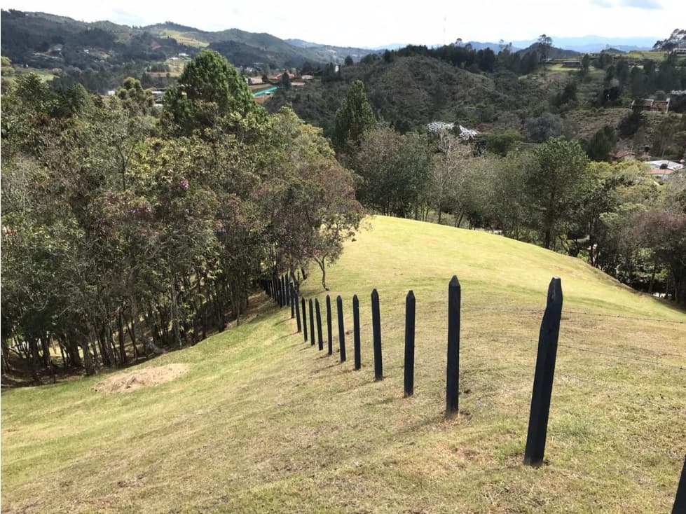 Lote Alto de las Palmas | La Esperanza — foto 4