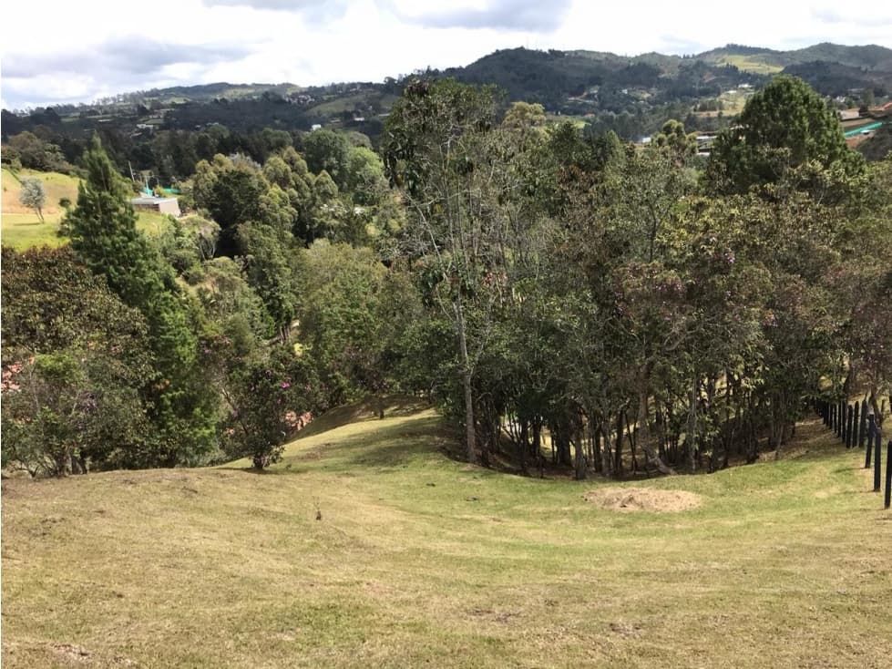 Lote Alto de las Palmas | La Esperanza — foto 2