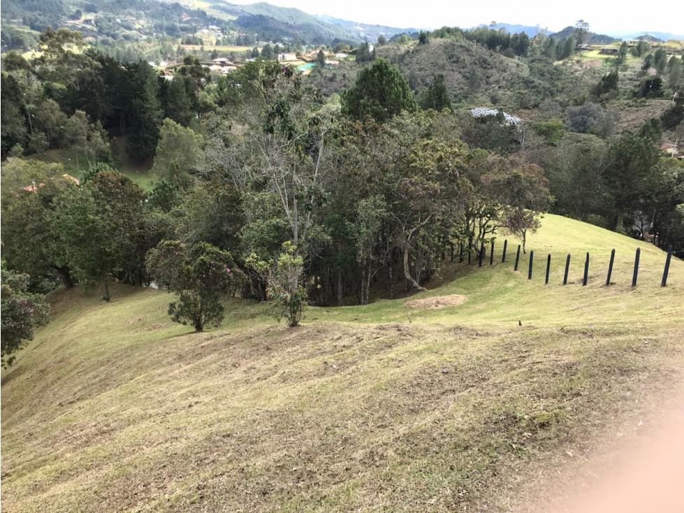 Lote Alto de las Palmas | La Esperanza — foto 3
