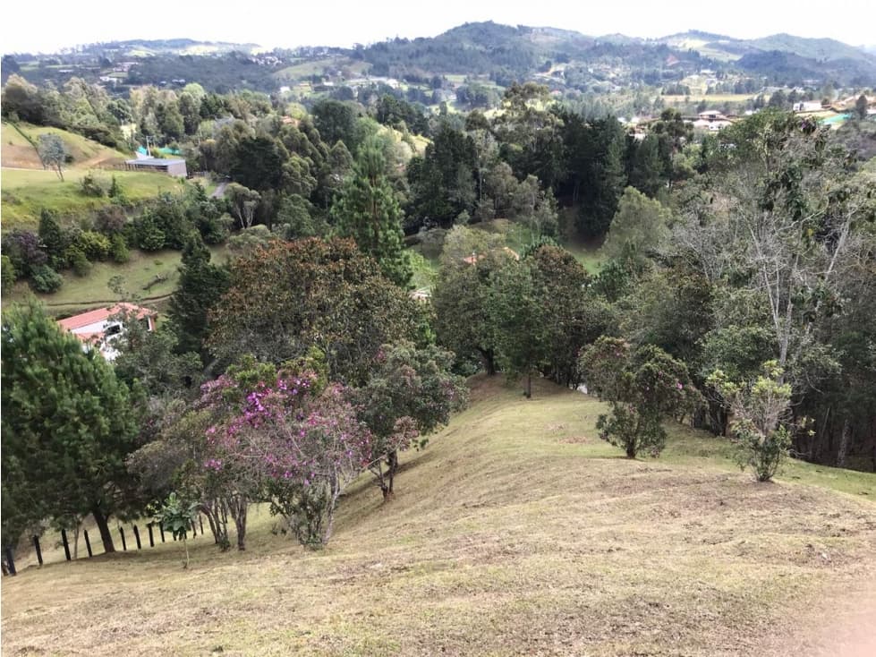 Lote Alto de las Palmas | La Esperanza — foto 6