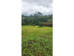VENDO LOTE CONDOMINIO EN PEREIRA VEREDA JORDAN ML9758956