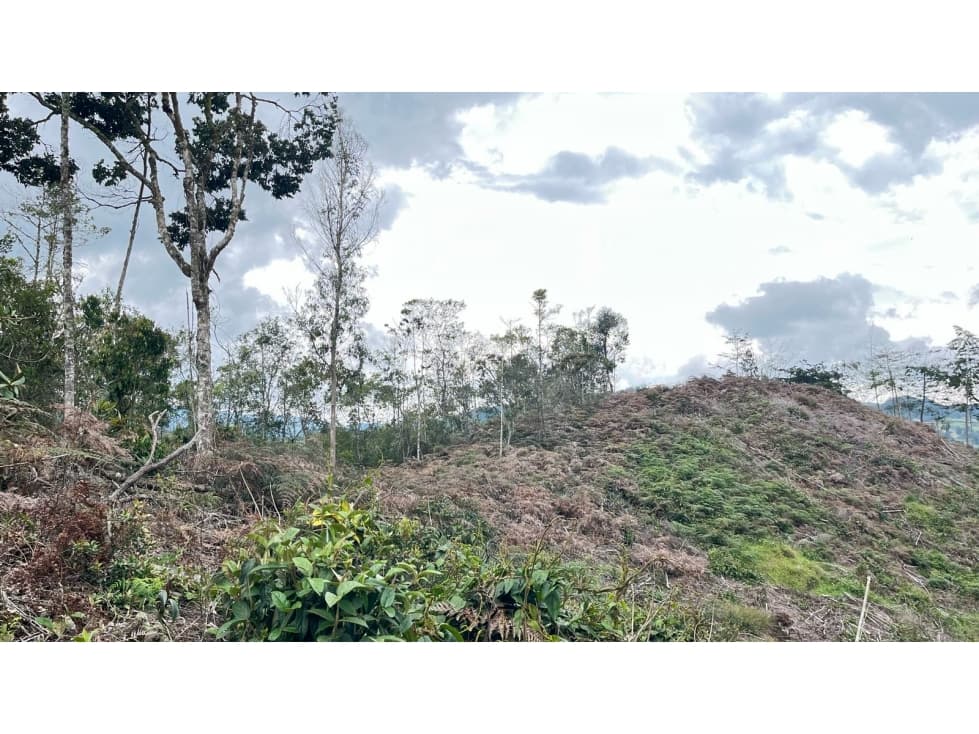 VENTA LOTE EN TABLAZO ANTIOQUIA ¡OPORTUNIDAD! — foto 3