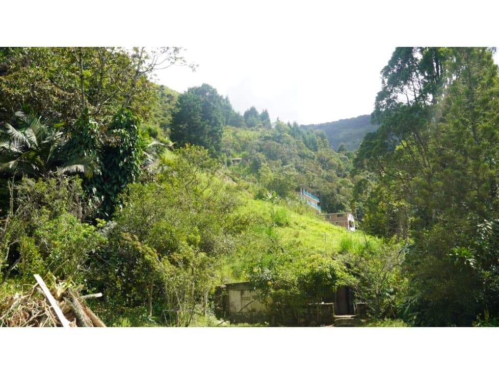 Lote para Venta en San Cristobal Vereda La Palma — foto 2