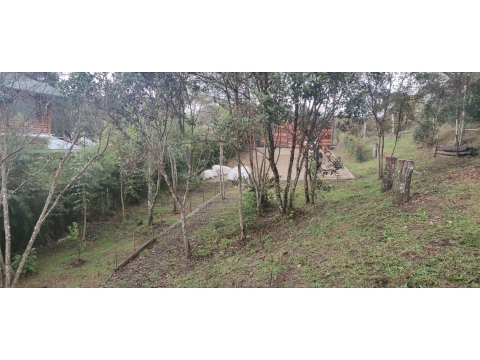 VENTA DE CABAÑA EN SANTA ELENA VEREDA BARRO BLANCO — foto 2