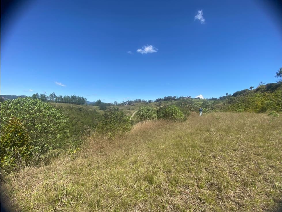 Venta Lote El retiro - Montesereno — foto 2