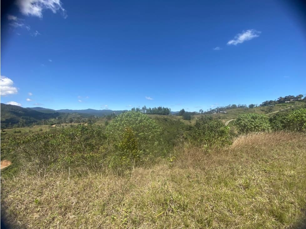 Venta Lote El retiro - Montesereno — foto 3