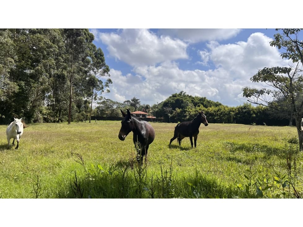 Lote Independiente en Venta por Mall Llanogrande — foto 1
