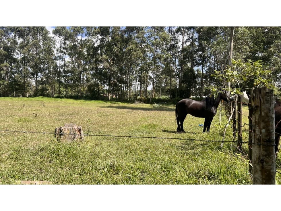 Lote Independiente en Venta por Mall Llanogrande — foto 3