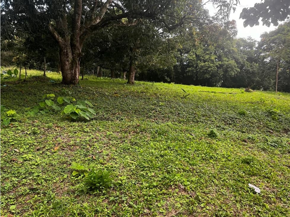 Venta De Lote En Sopetrán — foto 3