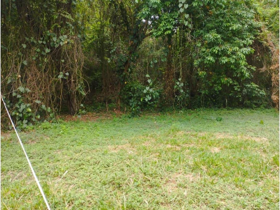 Venta De Lote En Parcelación Sopetran — foto 2