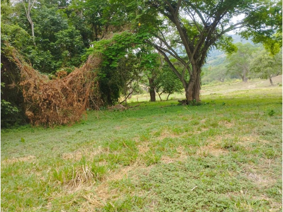 Venta De Lote En Parcelación Sopetran — foto 3