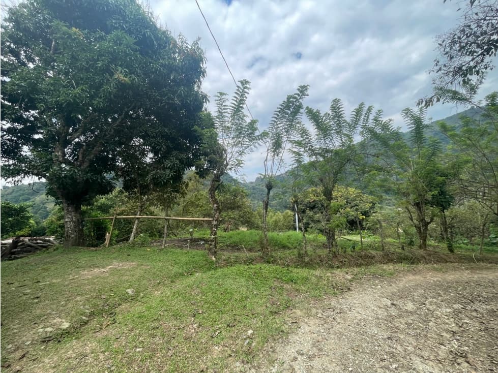LOTE DE TERRENO RURAL VEREDA SANTANDER EBÉJICO ANTIOQUIA — foto 3
