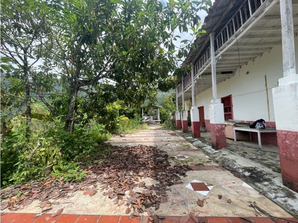 LOTE DE TERRENO RURAL VEREDA SANTANDER EBÉJICO ANTIOQUIA — foto 5