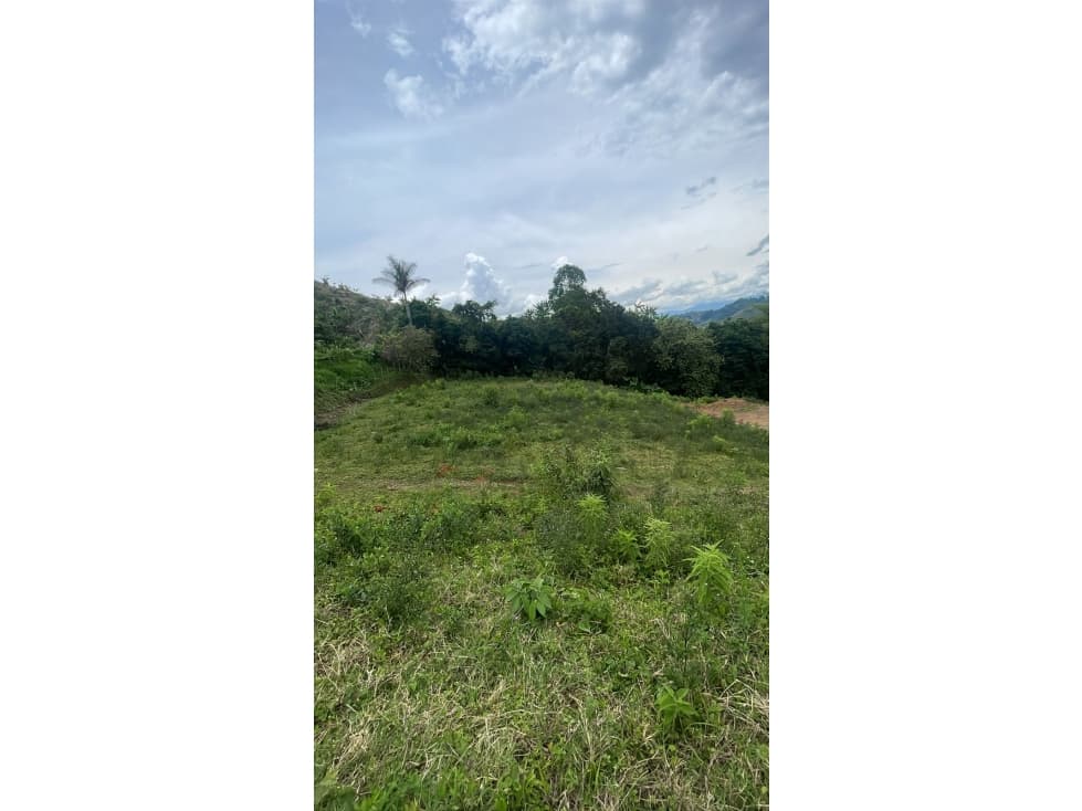lote vereda el pomo el leden ~ permuta — foto 1