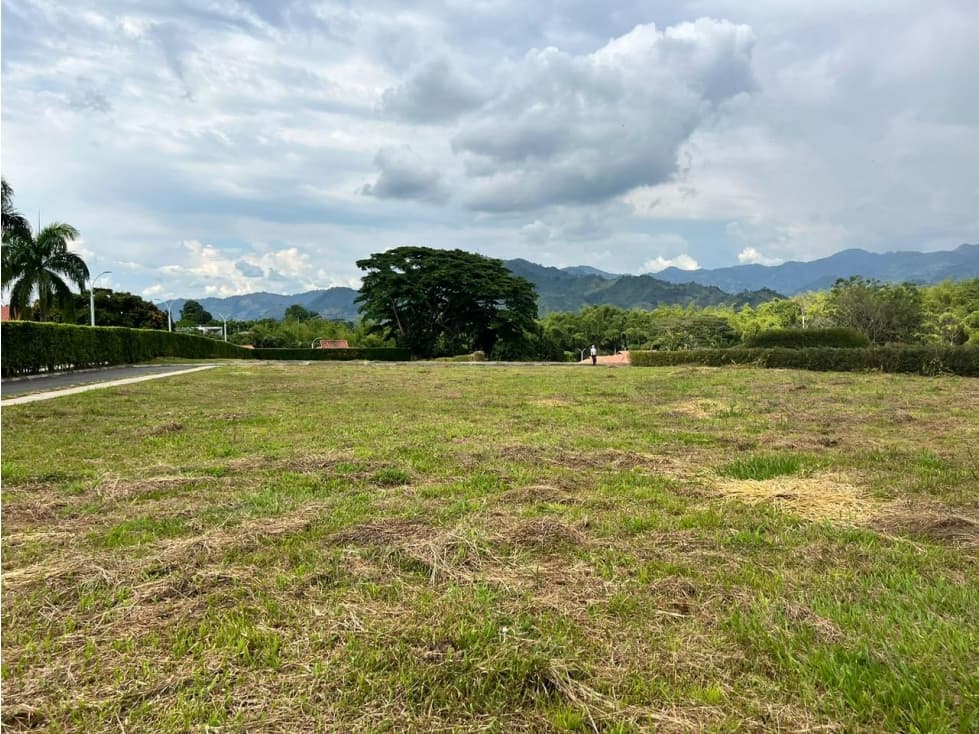 Vendo Lotes Pereira Cerritos — foto 5