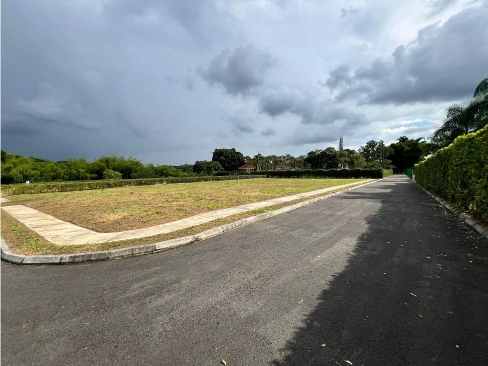 Vendo Lotes Pereira Cerritos — foto 6