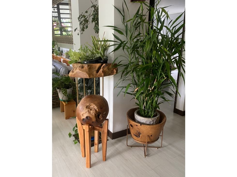 VENDO CASA CAMPESTRE ARMENIA — foto 2