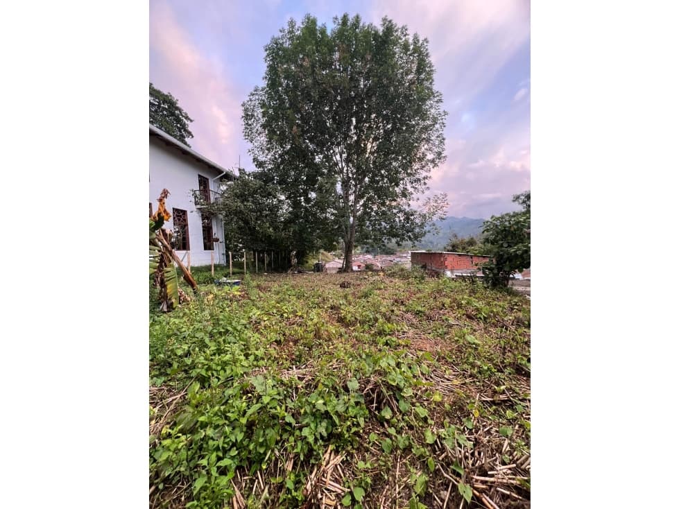 VENDO CASA CON LOTE DENTRO DE SALENTO — foto 3