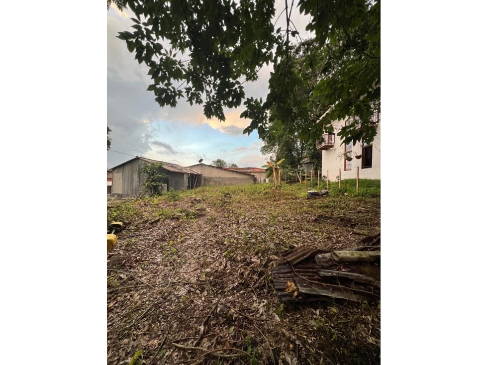 VENDO CASA CON LOTE DENTRO DE SALENTO — foto 4
