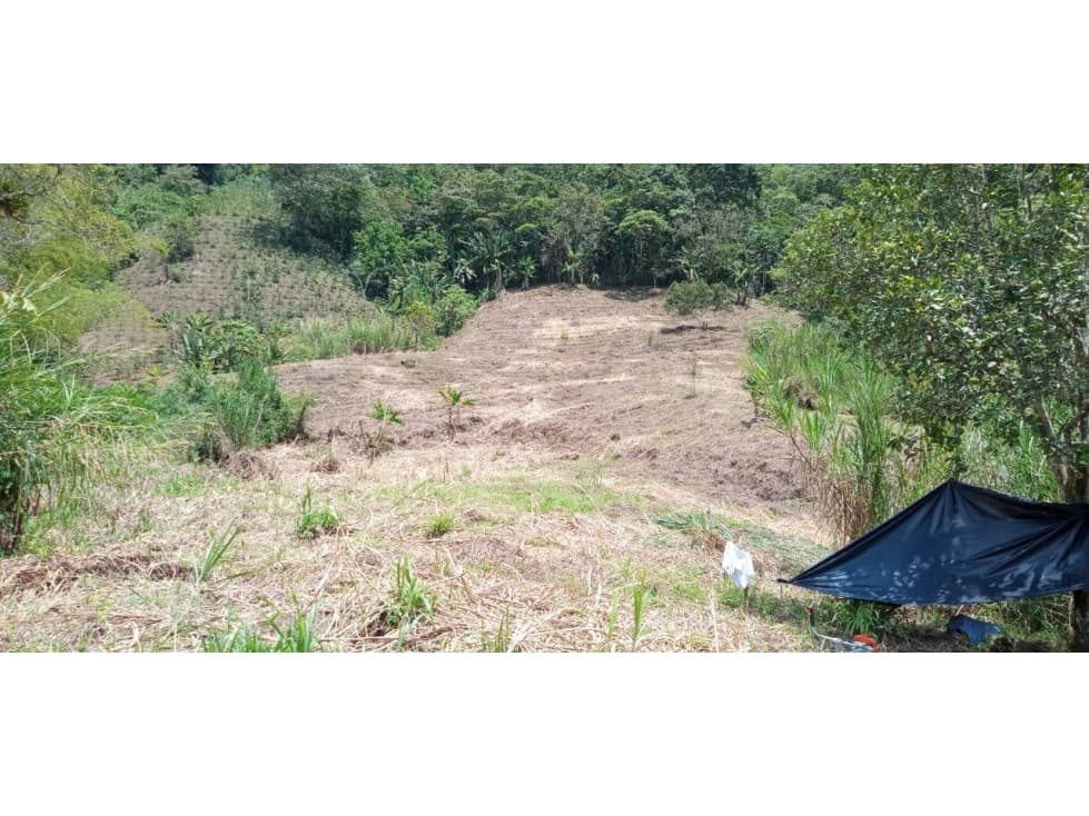 VENDO FINCA EN ARMENIA VIA CHAGUALÁ — foto 4