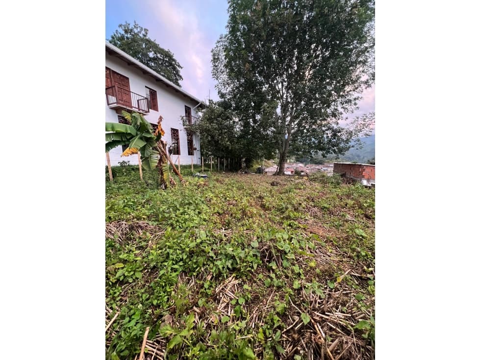 VENDO CASA CON LOTE DENTRO DE SALENTO — foto 6