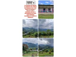 VENDO FINCA EN GENOVA