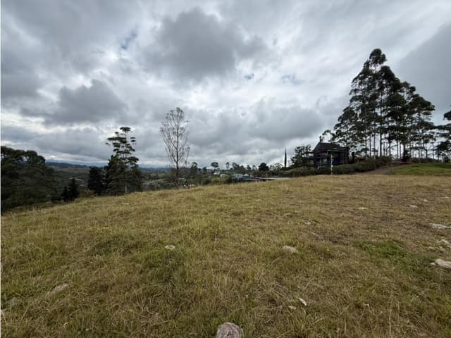 LOTE INDEPENDIENTE EN LA SALIDA DE PEREIRA A ARMENIA