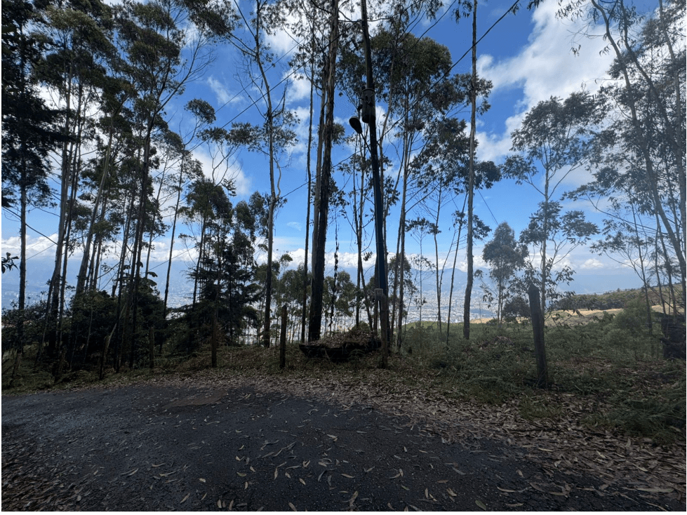 Vendo Lote Alto de las Palmas — foto 4