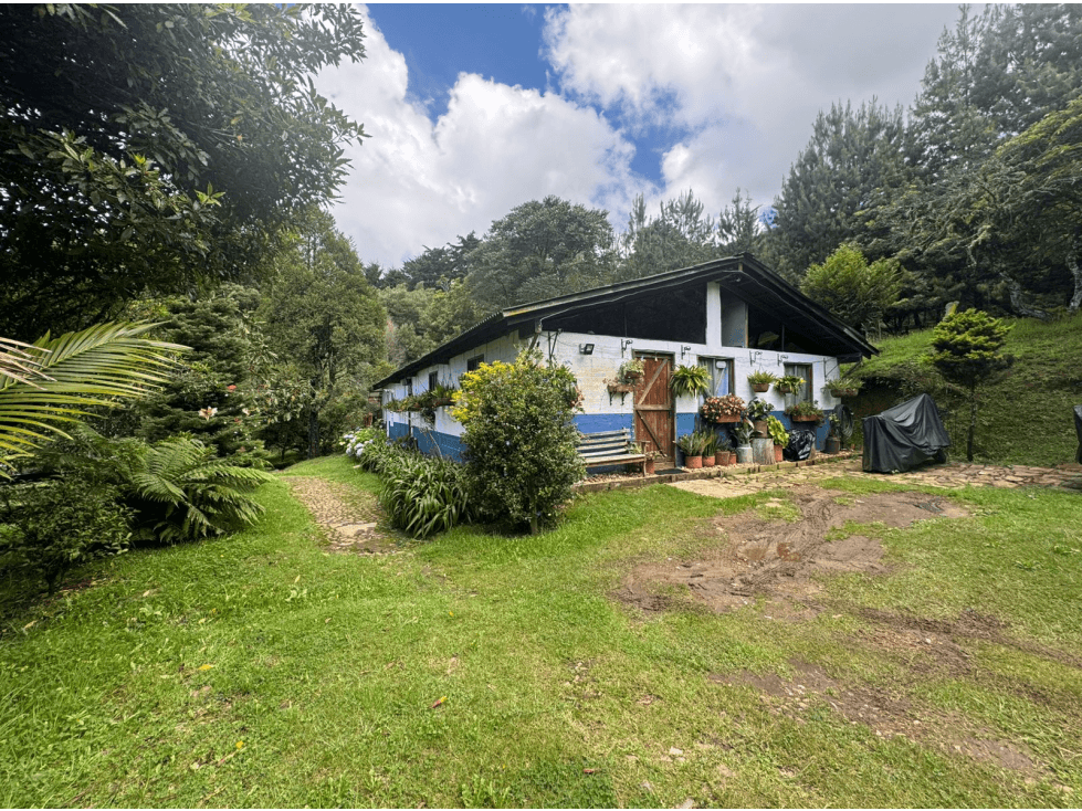 Vendo Lote Alto de las Palmas — foto 4