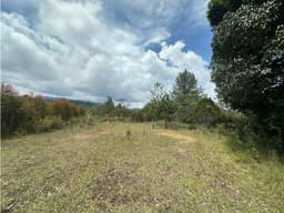 SE VENDE LOTE EN EL RETIRO, VEREDA LOS SALADOS.