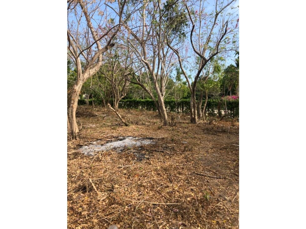 Lote en venta isla de Baru sector Barbacoa — foto 6