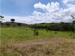 LOTES RURALES DE 1.000 METROS CUADRADOS BUGALAGRANDE