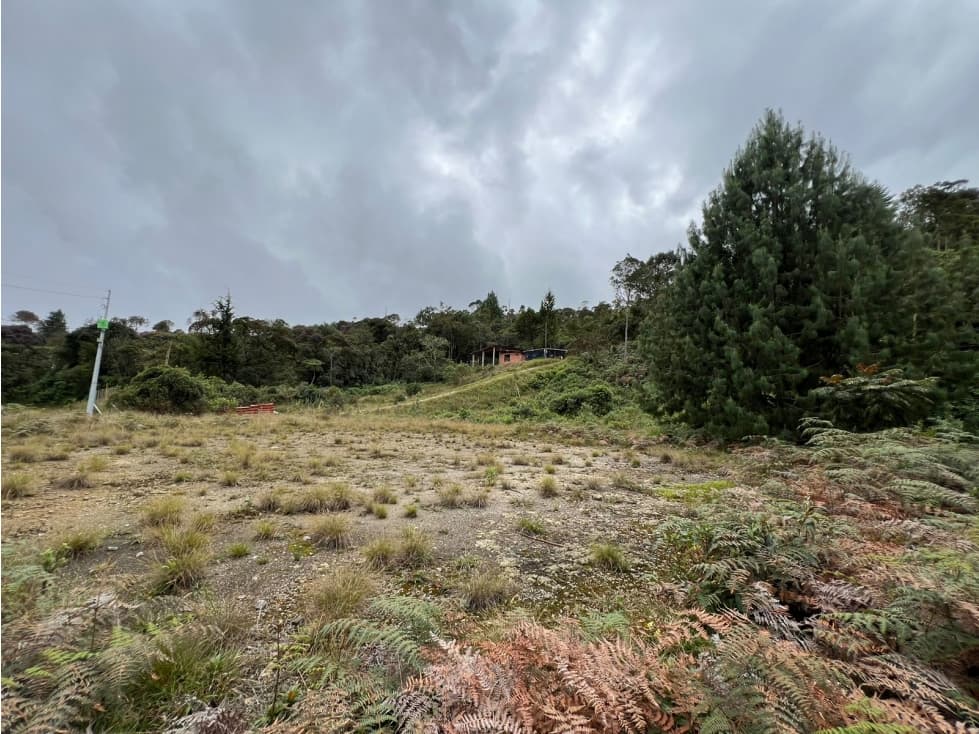 Venta de Lote en Envigado - Vereda La Miel. — foto 2