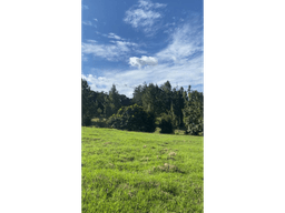 Lotes Exclusivos en Sector La Acuarela, Alto de las Palmas, 2.190 m²