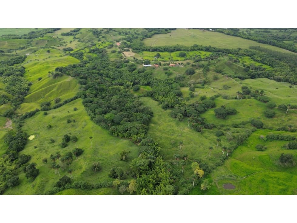 Hacienda Ganadera en Obando, Valle del Cauca — foto 3