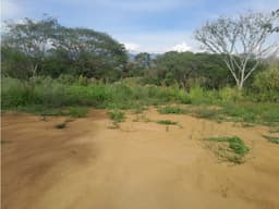 LOTE EN VENTA - PARCELACION AGUA SELVA SOPETRAN