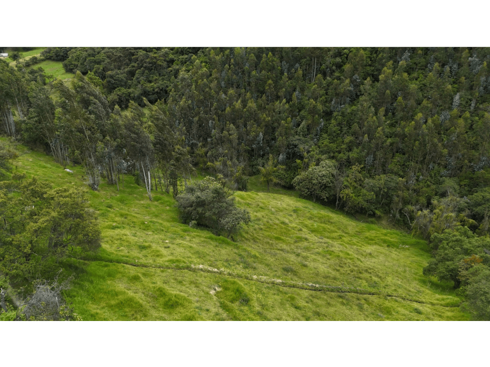 LOTE EN VENTA - VEREDA SATIVA - PAIPA, BOYACÁ — foto 3