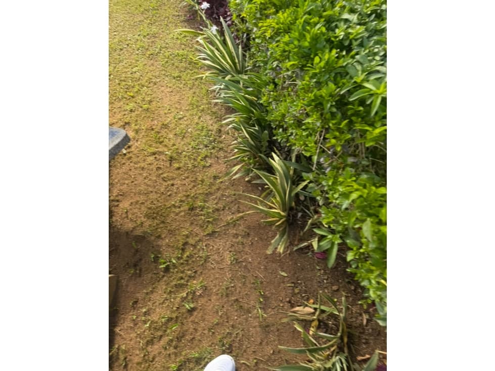 CABAÑA — foto 5