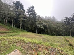 CESION DE DERECHOS LOTE LAS PALMAS TRANSVERSAL DE LA MONTAÑA ENVIGADO