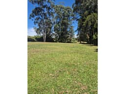 HERMOSO LOTE PLANO EN LLANOGRANDE VEREDA LA AMALITA