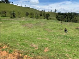 HERMOSO LOTE VIA SAN VICENTE VEREDA CHAPARRAL