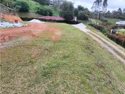 LOTE CARMEN DE VIBORAL SECTOR QUIRAMA