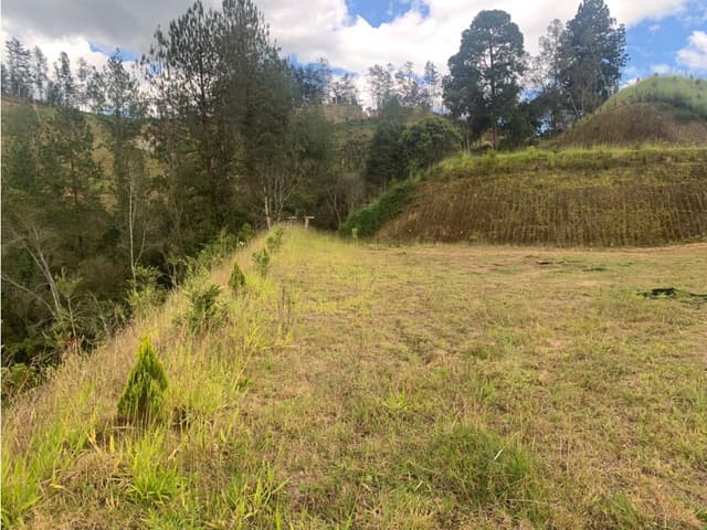 LOTE PRIVADO EL RETIRO VEREDA LEJOS DEL NIDO, EN PARCELACION