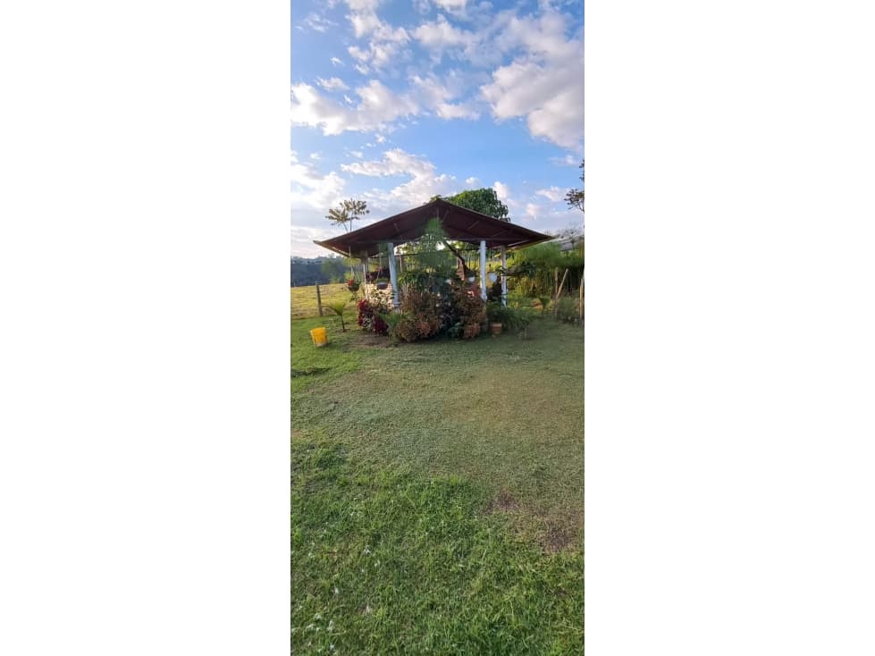 FINCA A 8 KM DE CIRCASIA 4899 — foto 5
