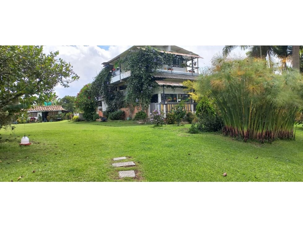 FINCA A 8 KM DE CIRCASIA 4899 — foto 3