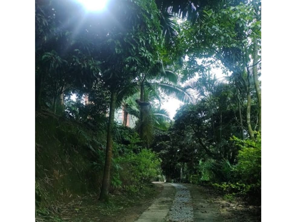 excelente finca ubicada en el Trianon — foto 2
