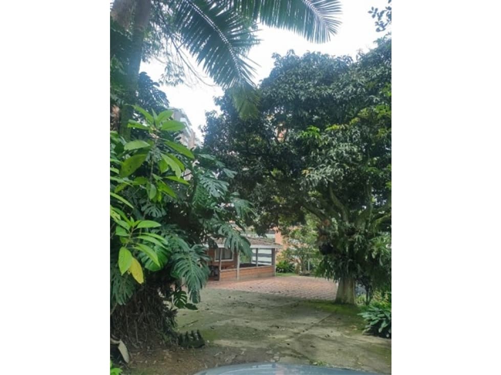 excelente finca ubicada en el Trianon — foto 3